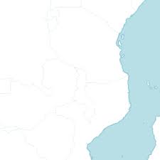 Image result for Mimulopsis arborescens