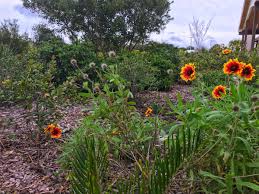 Here you will find an outstanding selection of unique gifts, gift baskets, flowers and more all available for delivery to sarasota, fl. How To Build The Perfect Sarasota County Picnic Visit Sarasota