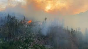 Becoming wildfire resilient is a shared responsibility across bc. Firesmart Bc Urges People To Prepare For Evacuation Orders My Campbell River Now