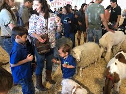 All american petting zoo is in ridgeland, south carolina. Blog