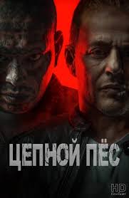 Van Quattro (Ван Кваттро)