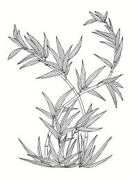 East Asian Designs Bamboo Plant Bamboo Plants Leaf Drawing Drawings Bamboo cartoon bamboo hand painted bamboo cartoon hand drawn bamboo. pinterest