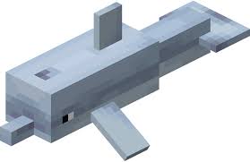 What Do Dolphins Eat In Minecraft? | Kodeclik Online Academy