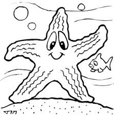 Check spelling or type a new query. Colorear Dibujos De Estrellas De Mar