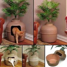 Blumentopf Fur Die Katze Katzen Toilette Katzen Klo Katzen Bett