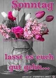 Pin Von Bettina Schulz Auf Sonntagsspruche Guten Morgen Sonntag Bilder Schonen Sonntag Spruche Schonen Sonntag
