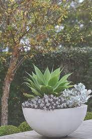 44 Inspiring Outdoor Potted Plant Entryway Ideas 96 Garden Plant Pots Modern Patio Outdoor 2 Potted Plants Outdoor Potted Plants Patio Plants