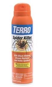 They appear hard, black, and shiny. Black Widows The Problem Solver Club Black Widow