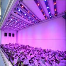 With recent innovations in led technologies, waveform lighting has succeeded in creating some of the most advanced full spectrum light spectra that truly replicate natural daylight. 10pcs Lot 1w 3w 5w Full Spectrum Led Grow Light Chip Best Bridgelux Led Grow Chip For Indoor Plant Grow Grow Light Chip Led Grow Chipgrow Chip Aliexpress