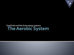 The anaerobic lactic system is possibly the most misunderstood energy system of the three. Ppt Aerobic And Anaerobic Pathways An Introduction To The Energy Systems Powerpoint Presentation Id 1871488