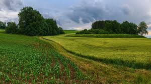 Visa fler idéer om tyskland, resor, platser. Bilder Bayern Tyskland Landkreis Augsburg Natur Falt 3840x2160