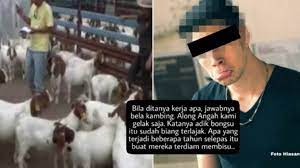 Kamipun berjalan kesauna dari belakang adikku melihat. Kata Mutiara Tentang Adik Beradik Cikimm Com