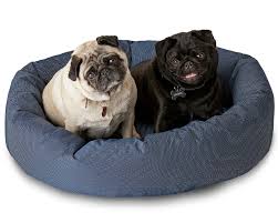 Content updated daily for designer dog beds. The Best Dog Beds In Australia So You Can Let Sleeping Dogs Lie Urban List