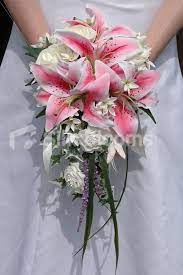 Here is a list of our best choices. Modern Pink Ivory Stargazer Lily Cascading Wedding Bouquet Modern Pink Ivory Stargaze Flower Bouquet Wedding Wedding Bridal Bouquets Stargazer Lily Wedding