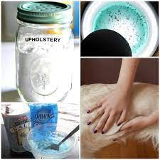 How To Get Rid Of Fleas 16 Effective Home Remedies For Fleas