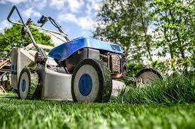 Lawn care services can satisfy or aggravate clients. Is Lawn Care Service Worth The Money Cacti Landscapes