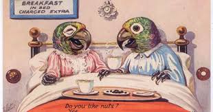 Do It Like We Do It On The Discovery Channel Let S Do It Like They Do On The Discovery Channel Furry Art Animal Fashion Postcard