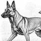 Seminar: Muzzle Fighting and Other Errors in Judgm... event in Sanford, NC