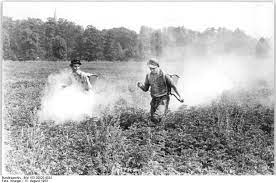 The Cautionary Tale Of Ddt Biomagnification Bioaccumulation And Research Motivation Sustainable Nano