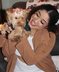 Lost blonde tea cup yorkie in Southern Oaks