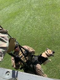 Image result for Green 1908 Military