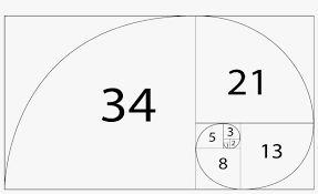 Golden Ratio Golden Spiral Png Image Transparent Png Free Download On Seekpng Download transparent golden ratio png for free on pngkey.com. golden ratio golden spiral png image