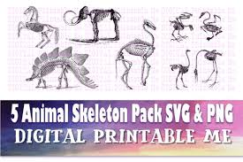 Download Animal Skeleton Clip Art Pack Svg Png 5 Graphic By Digitalprintableme Creative Fabrica