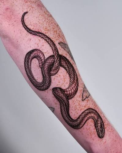 Life and Death Snakes 🐍💀 #snaketattoo #finelinetattoo #blackwork #tattoos #latattoo