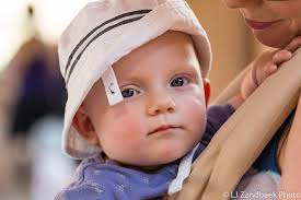 Photoshoot with bobcat mom and kitten in Port Moody BC