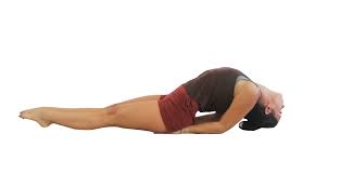 We did not find results for: Matsyasana Fish Pose Sacred Paths Yoga