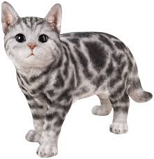 Check spelling or type a new query. Amazon Com Hi Line Gift Ltd Standing American Shorthair Cat Statue Garden Outdoor