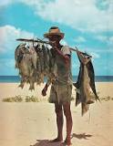 Pescador - Wikipedia, la enciclopedia libre
