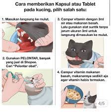 Ikut pengalaman saya memang berkesan bagi kucing saya. 4 In 1 Ubat Demam Selsema Cirit Birit Pernafasan Kucing Octamic 4 In 1 Fever Flu Diarrhea Breathing For Cart Shopee Malaysia