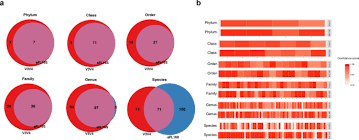 See tree diagram and medieval diagram. The Effect Of Taxonomic Classification By Full Length 16s Rrna Sequencing With A Synthetic Long Read Technology Scientific Reports