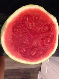 Google opens its first store. The Natural Design In My Freshly Cut Watermelon Mildlyinteresting