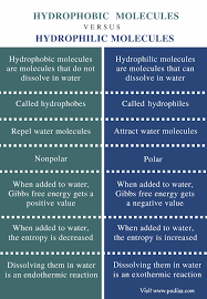 Difference Between Hydrophobic And Hydrophilic Molecules Comparison Summary Study Chemistry Study Biology Microbiology Study