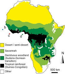 Description and tree an illustration of the use of the map to assess the effects of climate change on the future vegetation distribution patterns in the region and two. Simplified Map Of The Distribution Of Modern Vegetation Biomes Across Download Scientific Diagram