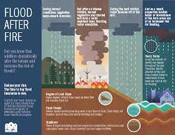 Flood insurance is an area of insurance that is all too easy to neglect until it is too late. Fema National Flood Insurance Program Lehi City