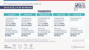 El ministerio de salud pretende iniciar la vacunación el primer trimestre de 2021, con énfasis en la población de riesgo. Calendario De Vacunacion Masiva Contra Covid 19 Ministerio De Salud Gobierno De Chile
