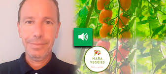 Entrevista || Antonio »Tito» Martín Tapias, gerente de Maraveggies