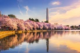 Смотреть что такое washington, dc в других словарях washington dc — washington (district de columbia) pour les articles homonymes, voir washington et dc. E7ey0q0nn9z7m