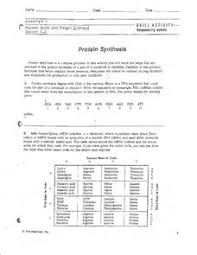 .vocabulary practice, chapter 8 biology vocabulary practice answer key, chapter 8 from dna to proteins, dna. Protein Synthesis Lesson Plans Worksheets Lesson Planet