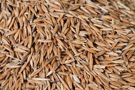 Colloquial malay is easy to use and completely essential. Oats Malay Agric