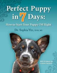 We did not find results for: What Is Reddit S Opinion Of Perfect Puppy In 7 Days How To Start Your Puppy Off Right