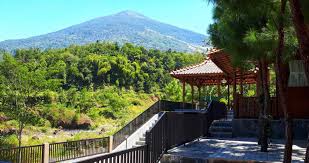 Hutan desa setianegara merupakan spot yang tepat buat kamu yang ingin menyepi. Imah Kayu Homestay Tentang Kami
