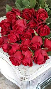 Abstract pink rose hd pics full for pc. Sign In Wonderful Flowers Beautiful Rose Flowers Rose Flower Arrangements