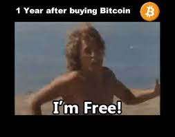 #funny meme #crypto meme #yield #btd #yld. Financial Freedom 1 Year After Buying Bitcoin Gif Viral Chop Video