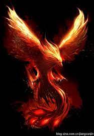 Tattoo Dragon Phoenix Birds 25 Ideas Phoenix Bird Tattoos Phoenix Art Phoenix Artwork