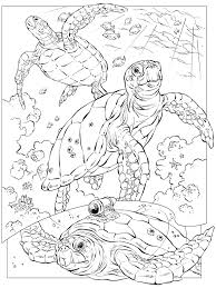 coloring book animals j to z