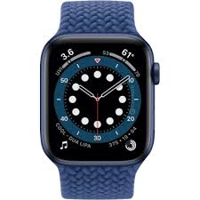 Apple Watch Edition Series 6 40m ...
